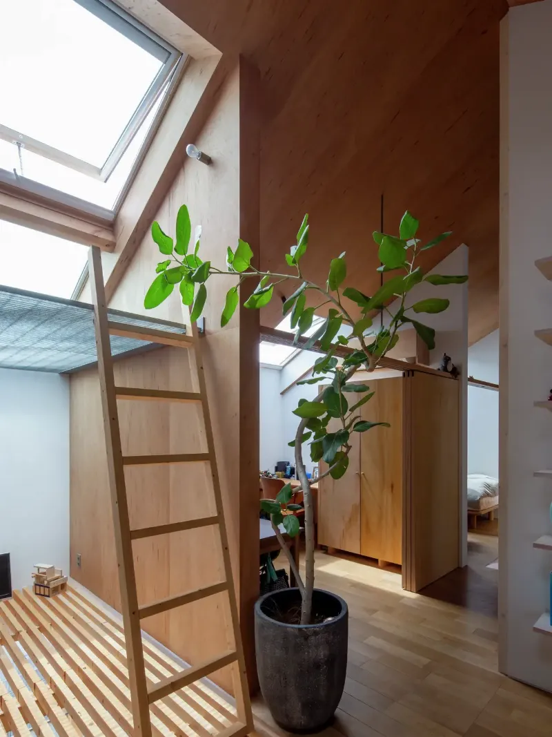 Intérieur de maison japonaise moderne, salon zen avec mobilier design épuré, connexion naturelle